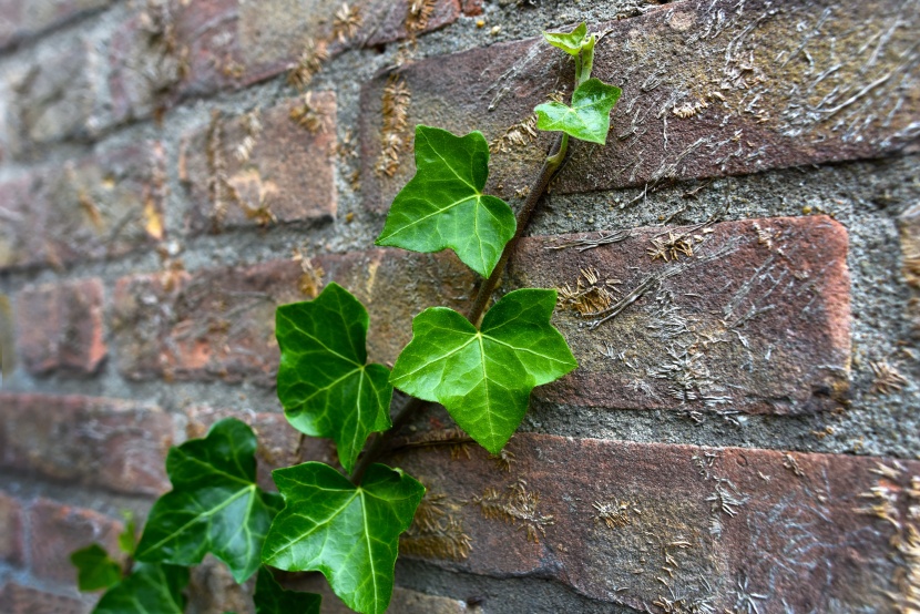 |天生“福尔摩斯”的星座,能够“一眼看破”谎言,同时不忘严谨