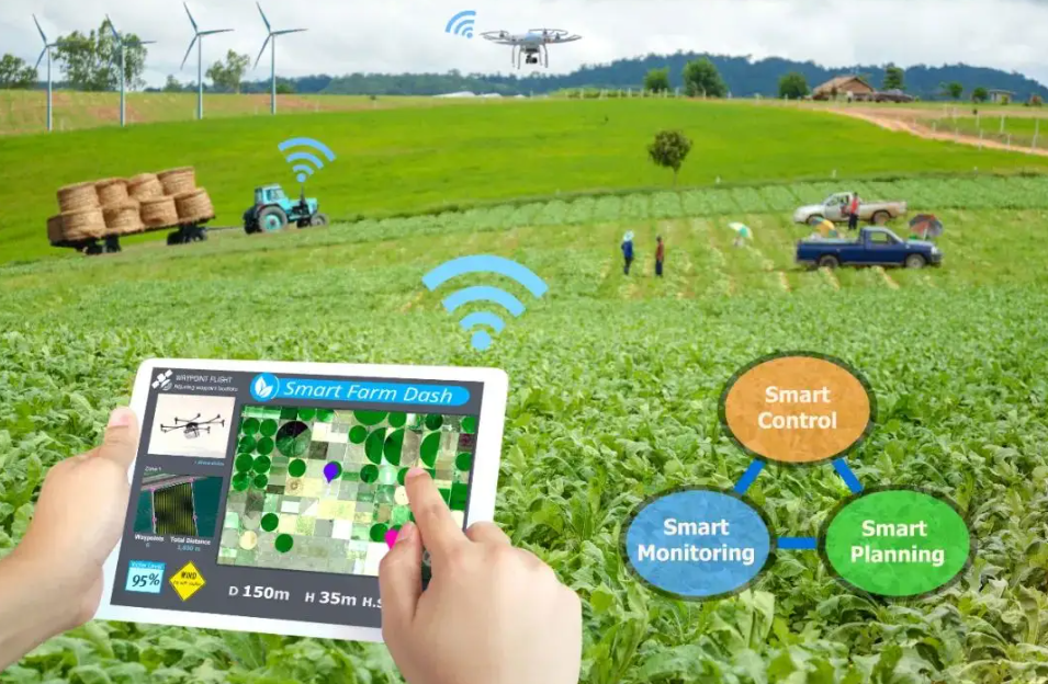 短视频|“互联网+农业”发展中存在的问题及措施