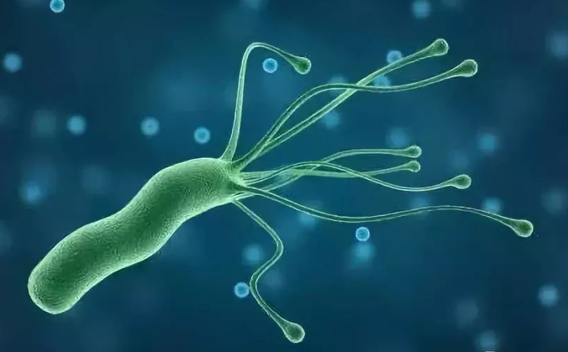 养生|30岁女子坚持吃“苹果”，不幸确诊胃癌，医生：“无知”害人不浅