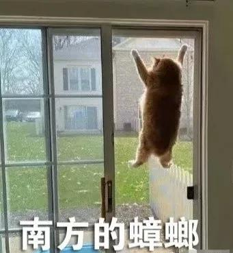 笑翻!广州又一大楼酷似蟑螂,吓坏北方网友:这得要多大的拖鞋