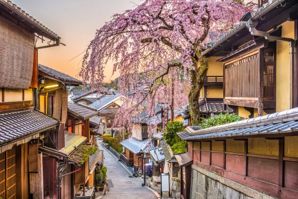 奈良|日本最具日式风情的三座古城，京都、奈良、大阪三大古城。