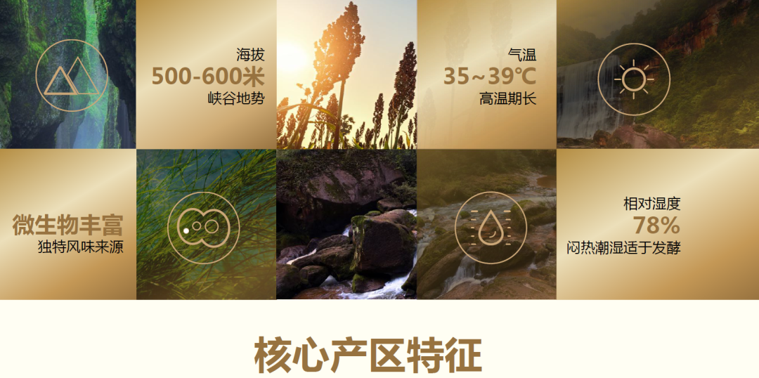 华茅传承1862，从源头品味经典