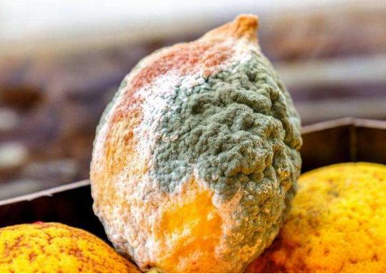 绿豆汤|“绿豆汤”会影响肝功能吗？医生提醒：不想脂肪肝缠身，远离3食物