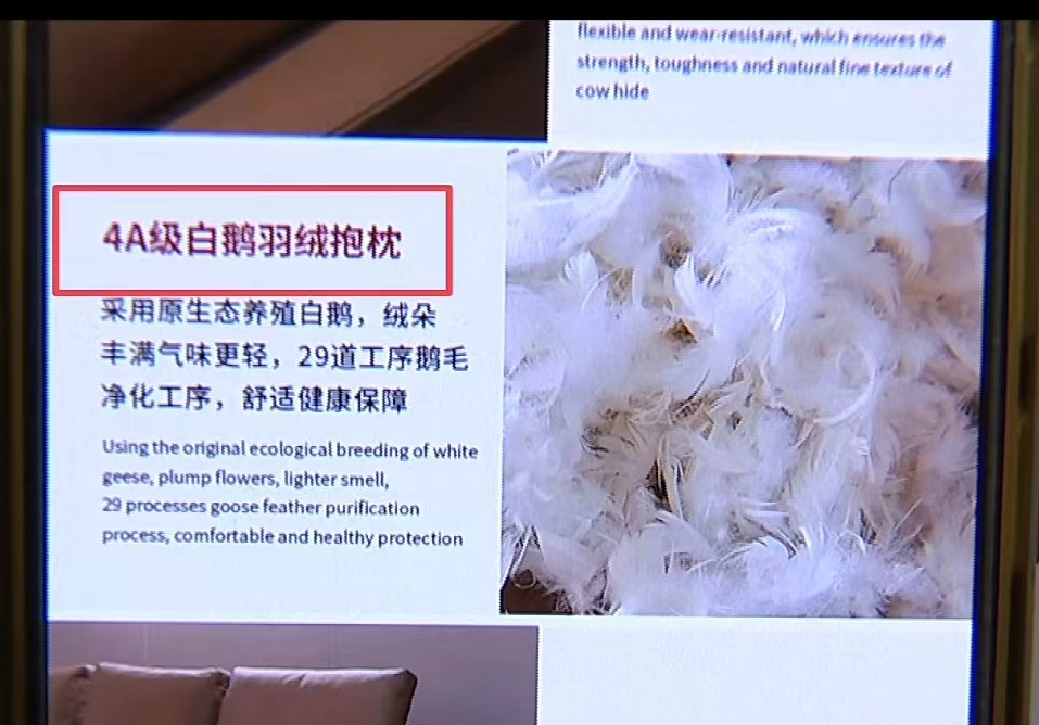 浙江绍兴。李女士花7660元网购了一套真皮羽绒沙发。