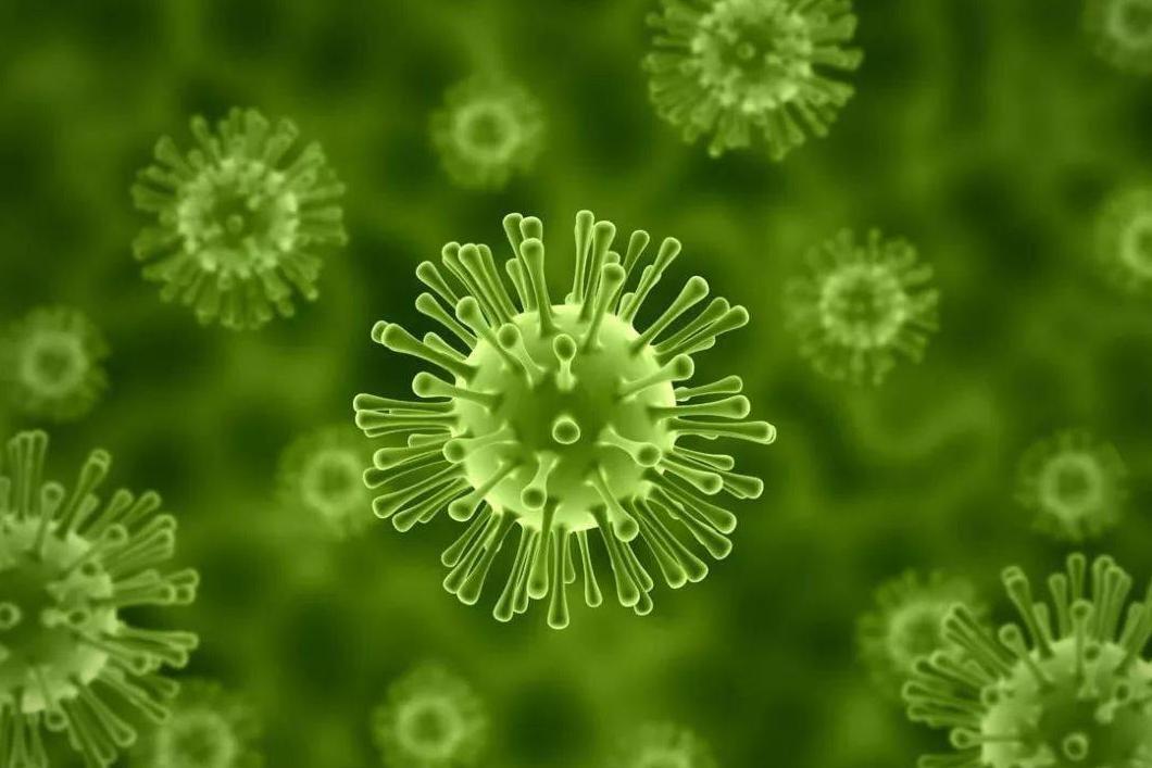 南极冰盖四千米底下,发现罕见“异星世界”,遍地是奇特生物