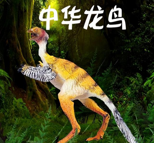 俗语“家有两鸟,无喜也添财”有什么道理和说法吗?为什么?