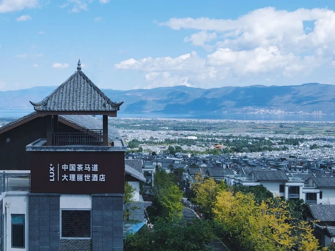 赶海|在仓山洱海旁吹着风，感受着“海”的美
