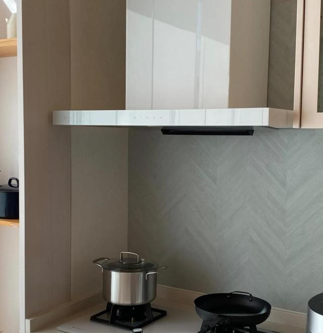 抽油烟机选顶吸还是侧吸?很多人都错了,看完这些就不会选错了