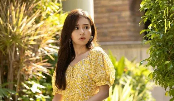 电视剧|最近一直在追的电视剧《芳心荡漾》，终于看到大结局了