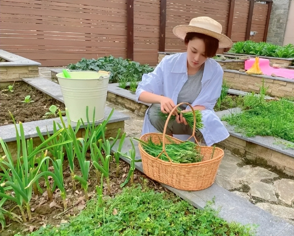 张馨予|张馨予晒海边艺术照，身穿V领上衣，皮肤白皙身材让人羡慕