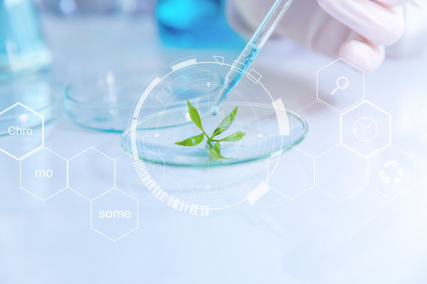 科学不仅仅是科学理论,而是对一些基础性的东西进行解释