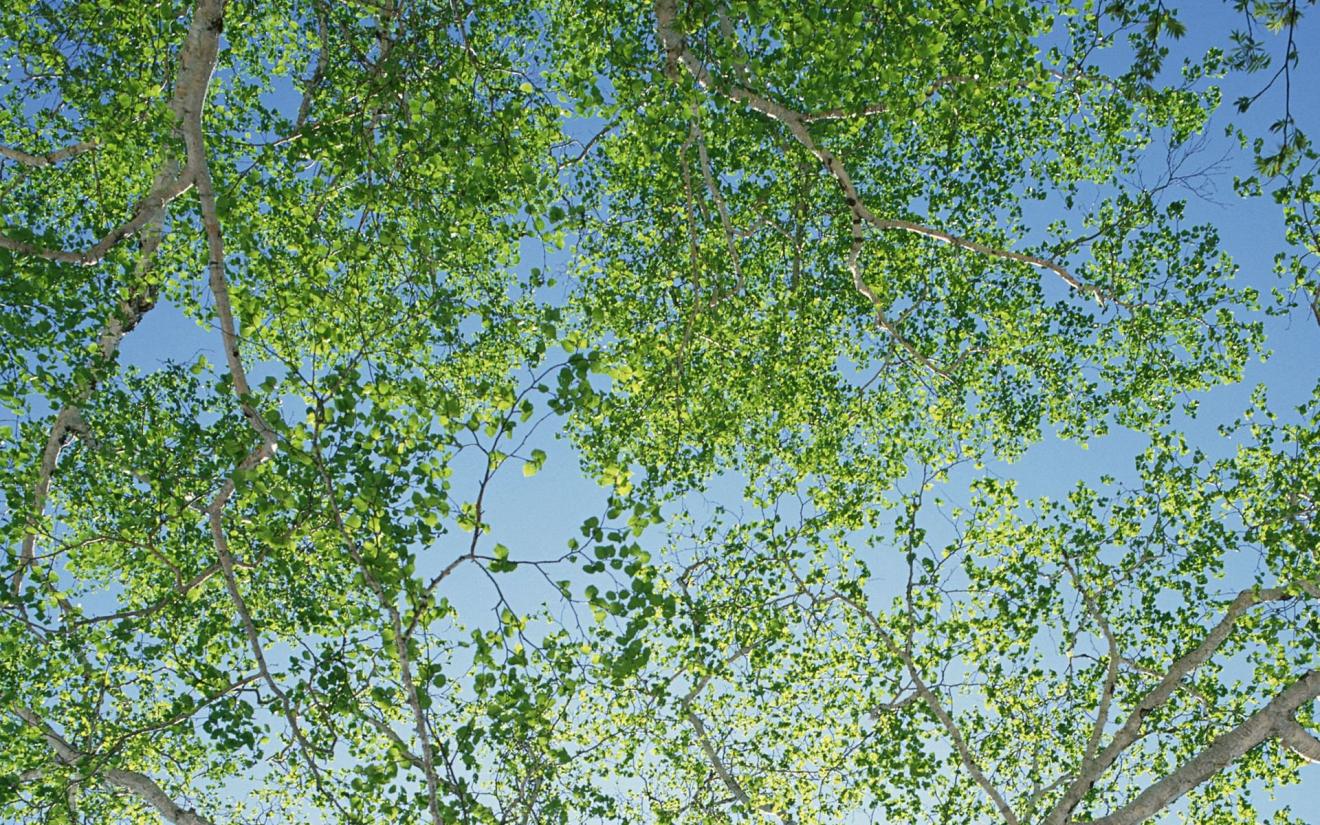 |不是领导在暗示员工加班,而是自己已经懈怠了