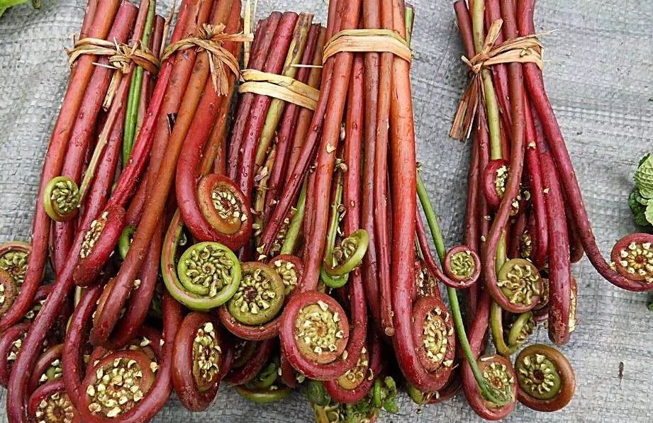 甲状腺|卫生组织曝光的“致癌蔬菜”，不少人当养生菜，不想甲状腺报废，早忌口