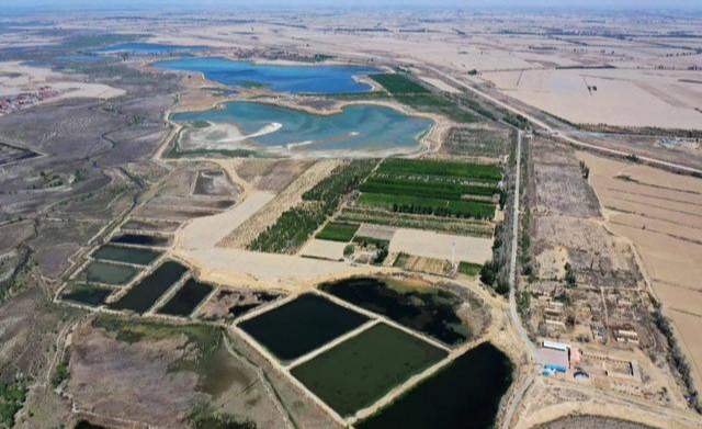 胡杨林|中国在戈壁滩上建了一座城市，成立仅3年，很多人还不知道
