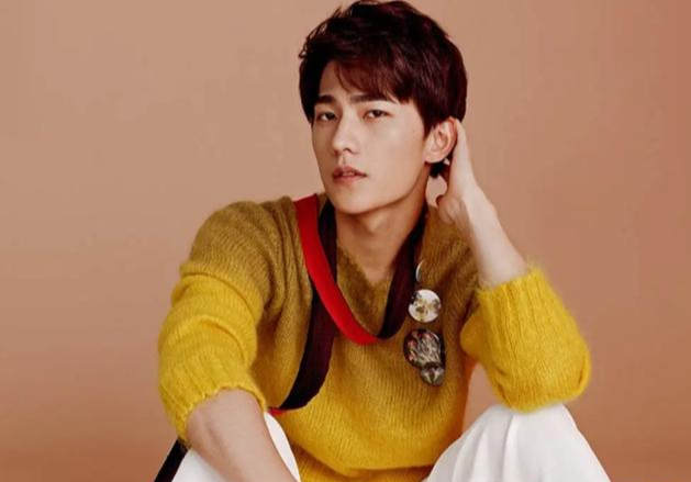 整容|长得挺帅，却没有“荷尔蒙吸引力”，这7位男星帅得毫无灵魂