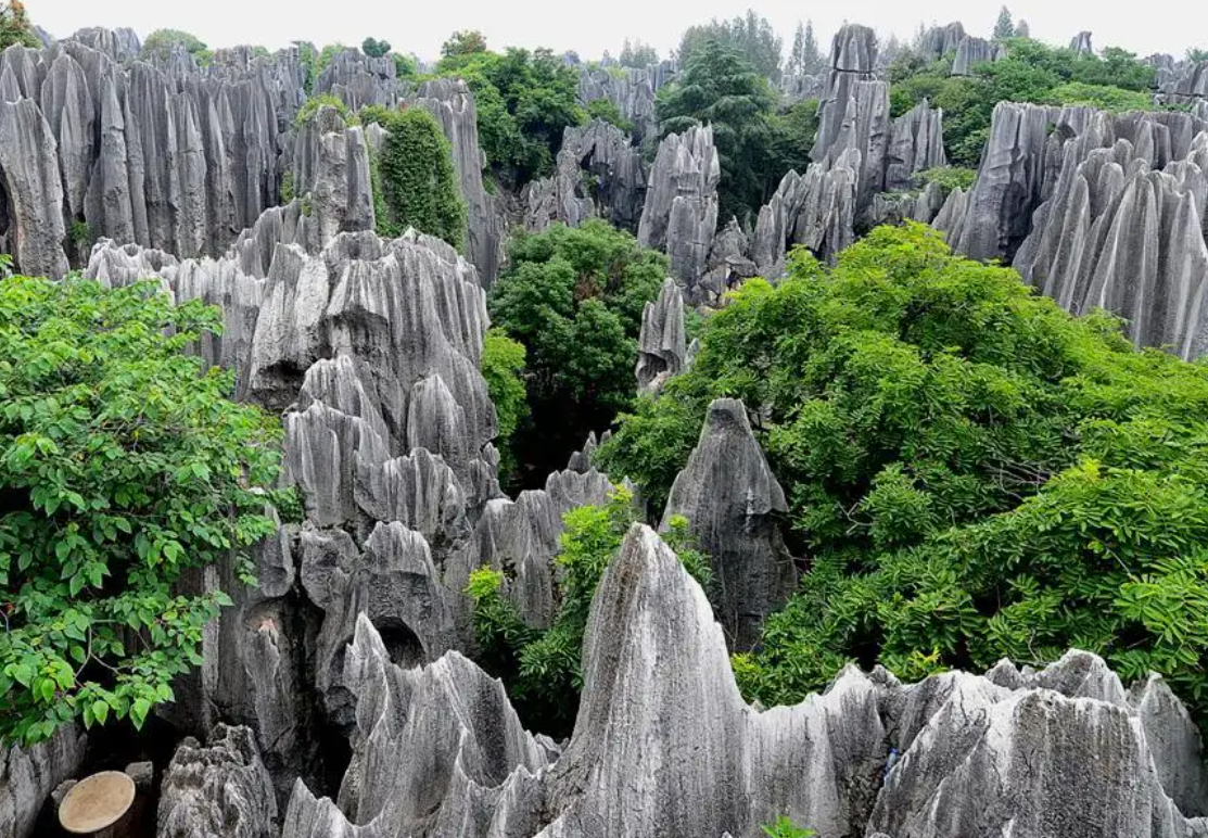 草原|来昆明玩儿，这些地方不能不打卡！