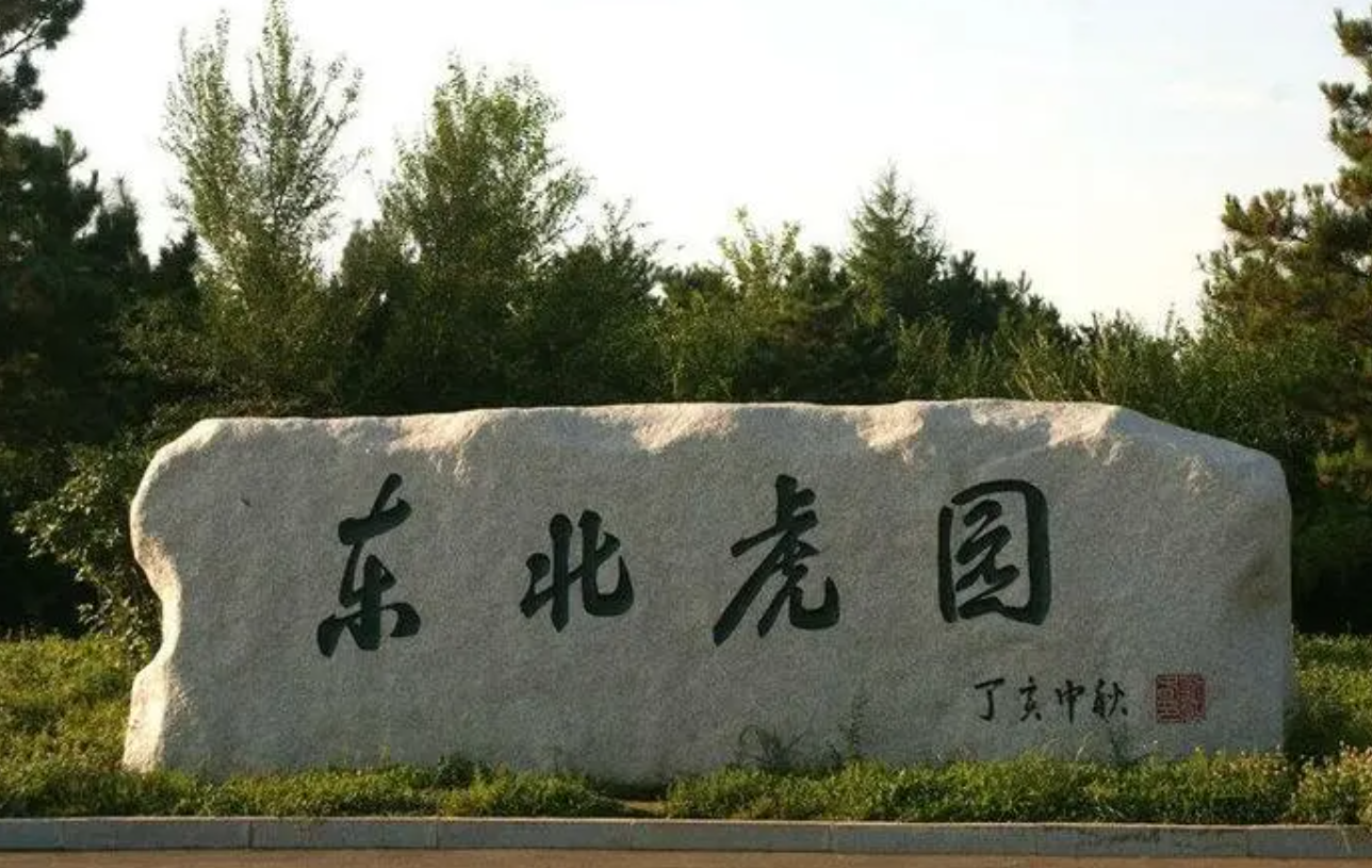 长春|长春这座历史悠久的城市，风景很好，快来看看吧