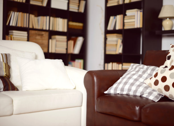 客厅一边做了书柜，储物空间瞬间翻倍，看看这些设计小屋就知道了