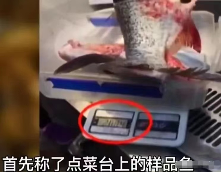 四斤鱼煮熟太少?店家称煮熟少一半正常,女子现场捞鱼上称维权