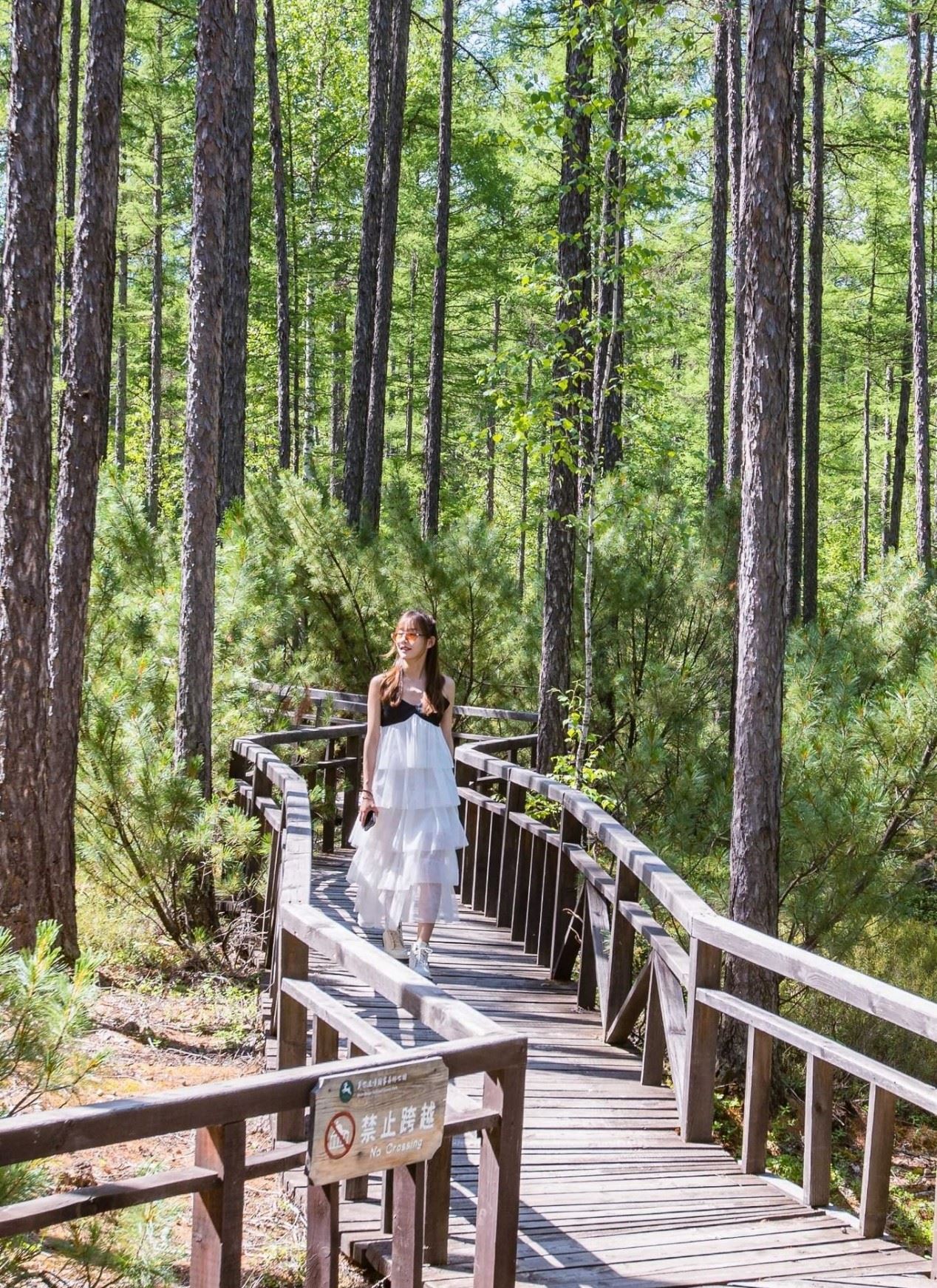 莫尔道嘎|南有西双版纳 ，北有莫尔道嘎，这个莫尔道嘎小火车达1个多小时