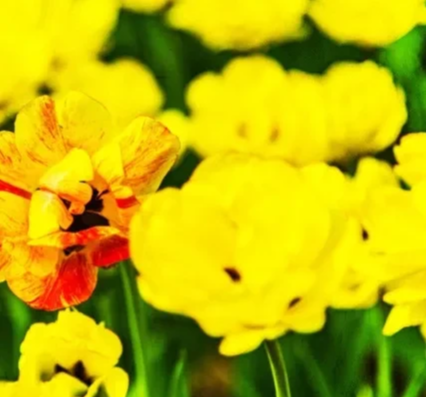 普通50多岁的家庭,该怎样节约?