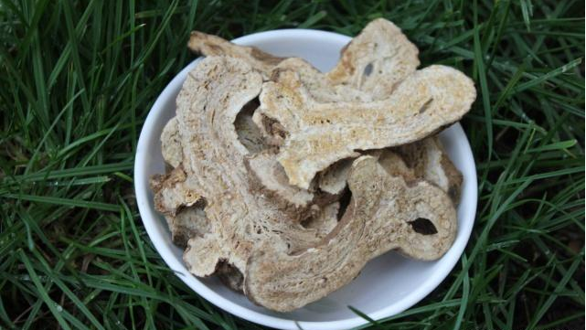 肠胃|胃不好的人，或许是幽门杆菌作怪！常用它泡水喝，肠胃慢慢变好