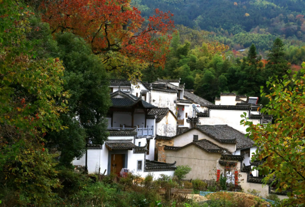 5a级景区|被评为国家5a级景区，拥有着上千年的历史，别致的古村落值得观光