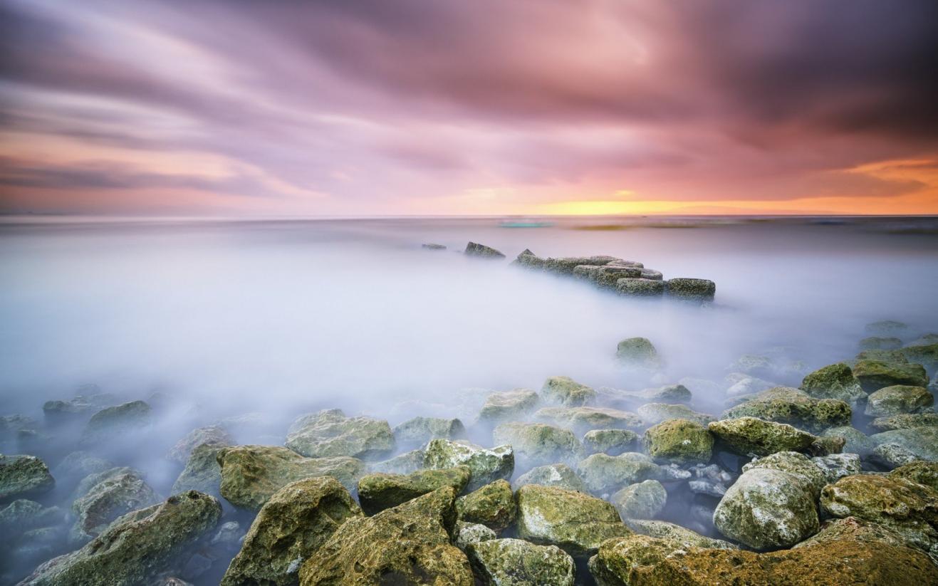 |为什么有的人在职场中无所适从？