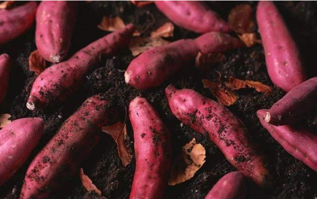 乙肝|这3种食物一口都别吃,容易损伤肝脏,还可能招来“肝硬化”