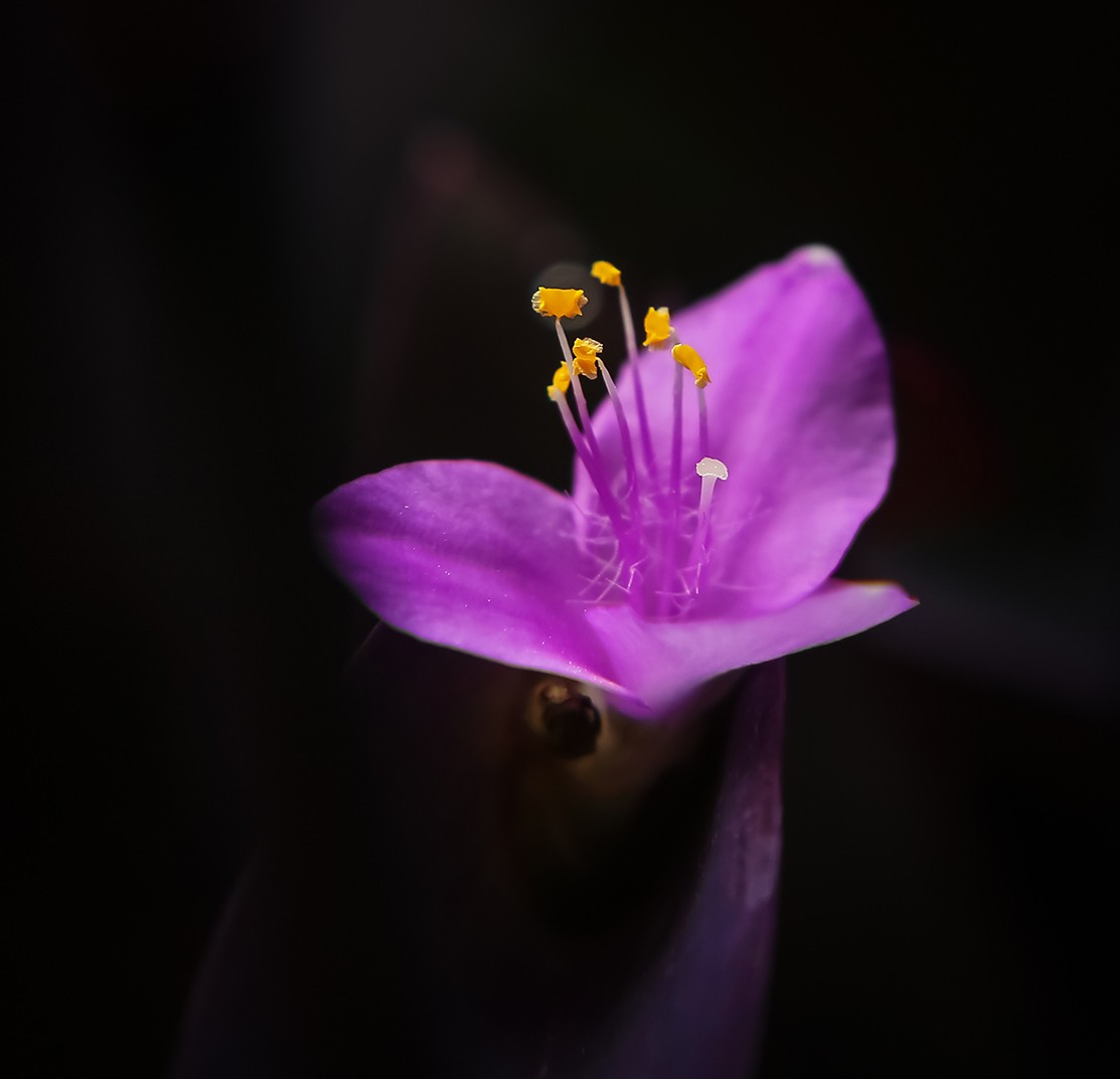 掌握了多种构图法则,为什么拍的照片依然不好看?牢记这6个要点