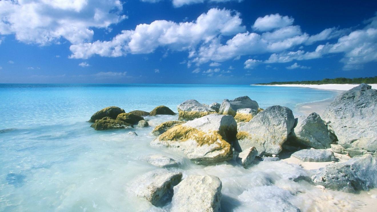 人与人|职场上你必须要具备这三种能力,别忘了,这三种能力是你的关键