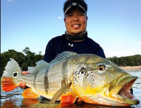 饵料|打窝时将饵料投在窝子外围,比投在窝子中心效果更好,你知道为什么吗?