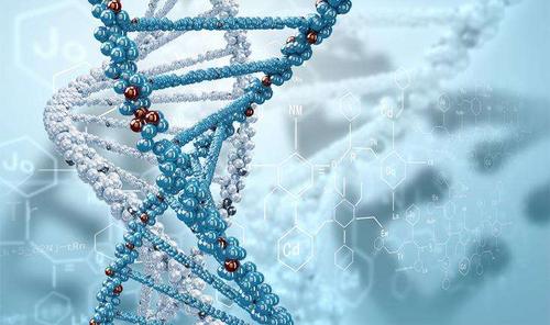 生物学和化学到底有哪些关系？