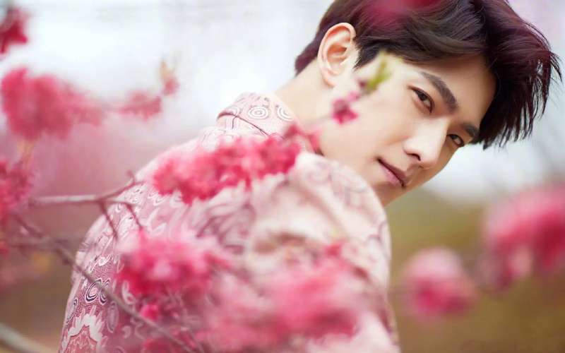 杨洋|杨洋成也是恩师李少红，败也是恩师李少红