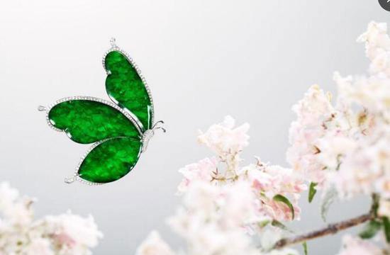 |购买翡翠时,该怎么挑选翡翠的色?我们需要注意什么呢?