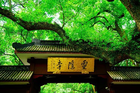 飞来峰|?来看看闹中取静的灵隐寺，这绿树成荫，溪水潺潺