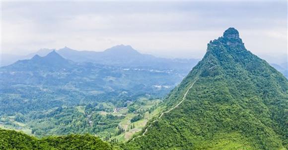 |职场上,什么样的人才适合当领导?