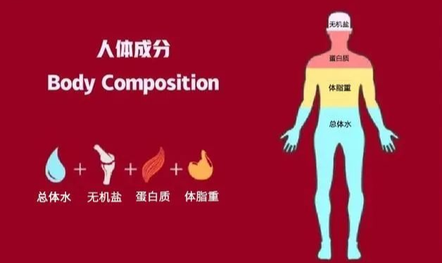 面霜 减肥和减重是一回事吗?认清减肥很重要