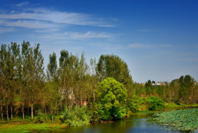 绿松石|哲学大家爱收藏,不喜舞文弄墨,偏爱舞刀弄枪:祖宗的,都捐了