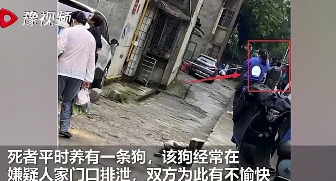 为了一条狗,砍死一个人!广西柳州发生一起凶杀案
