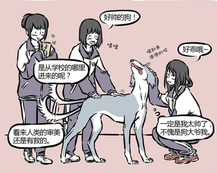 哮天犬|非人哉：哮天犬的血光之灾，女同学你眼睛往哪看呢！
