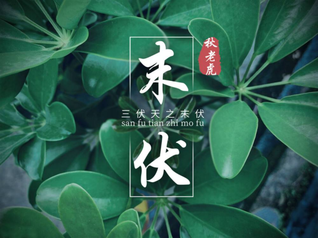 肝癌|末伏虽到，“秋老虎”正盛，这些事情也要注意！