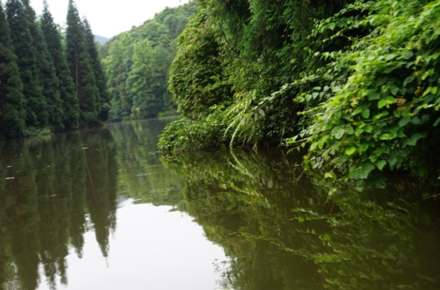 古镇|江津四面山,奇山异水景色优美,你去过吗?