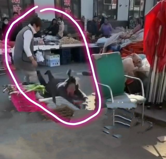 老公打赏女主播花光积蓄,老婆气得在地上打滚:都是卖菜钱