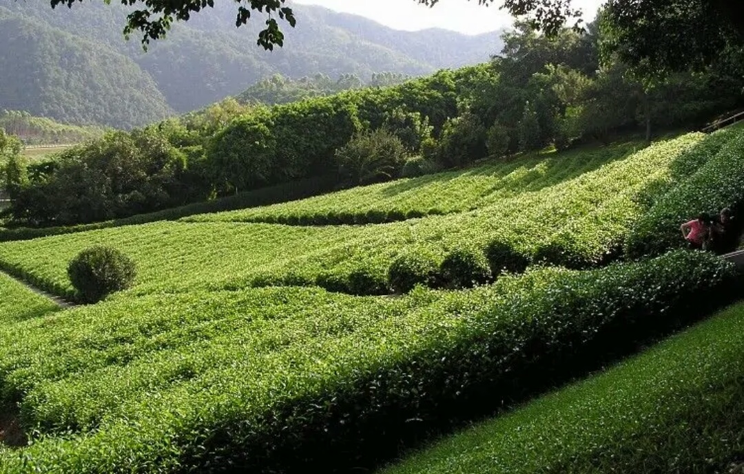 广东省|广东梅州客家风情，对客家文化感兴趣的朋友可以来这里