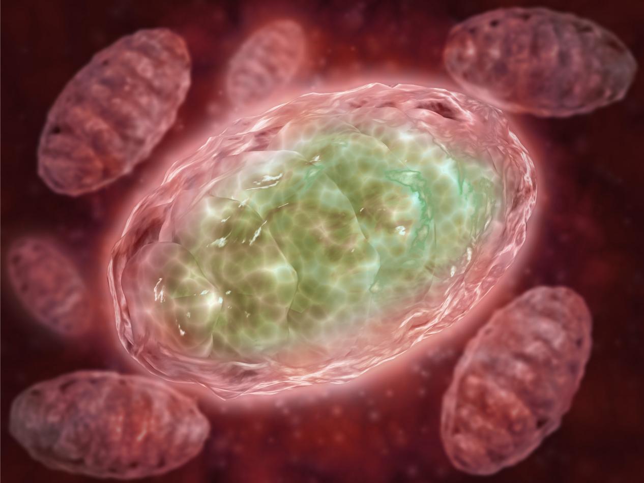 【宜善医学】酵解——癌细胞的生物能量学特征