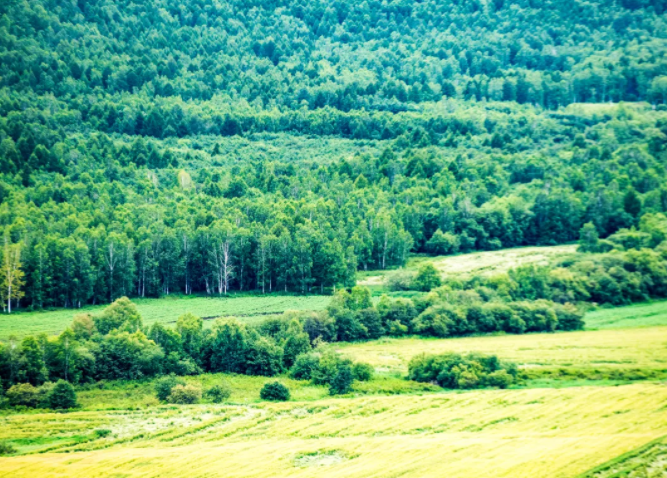 大兴安岭|北疆的秋天很短，这样的一瞬，却是大兴安岭最值得一看的季节