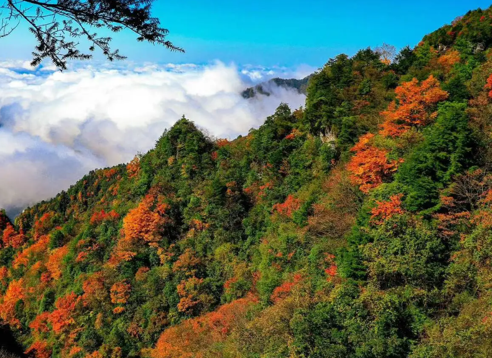 香格里拉|中国圆心城,达州,快来感受他的历史文化吧