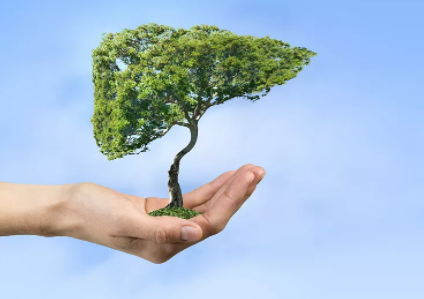 面条|“养肝高手”终于被发现，没事吃两口，提高肝功能，肝毒不见了