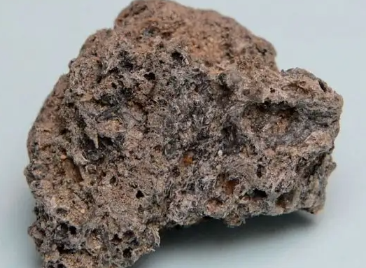 地球上的所有生命,陨石中发现的外星生命,也许都可能源自外星僵尸